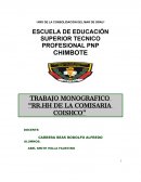 TRABAJO MONOGRAFICO “RR.HH DE LA COMISARIA COISHCO”