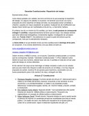 Garantías Constitucionales / Repartición del trabajo