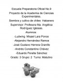 Proyecto de la Academia de Ciencias Experimentales