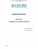 Caso Práctico Introducción a la Economía Financiera