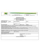 DEPARTAMENTO DE VICHADA MUNICIPIO DE PUERTO CARREÑO