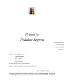 Asignatura: Desarrollo de Competencias Académicas