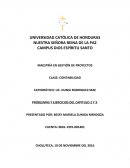 ENSAYO VIDAS SINCERAS