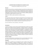 EL MALTRATO HACIA LOS ANIMALES EN LA CIUDAD DE EL ALTO