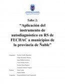 Taller 2: “Aplicación del instrumento de autodiagnóstico en RS de FECHAC a municipios de la provincia de Ñuble”