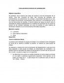 EVALUACION DE NIVELES DE ILUMINACION