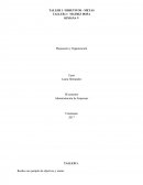 SEMANA V Planeación y Organización