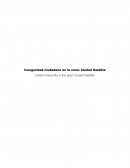 Inseguridad ciudadana en la zona: ciudad satélite