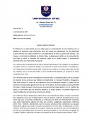 Metodologia. Informe sobre el Informe