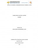 ENSAYO FUTURO DE LAS MICROFINANZAS EN AMERICA LATINA