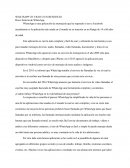 WHATSAPP UN VICIO O UN BENEFICIO