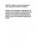 Observar el proceso de gemación como reproducción asexual en levaduras