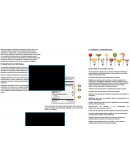 Triptico de la correcta alimentacion