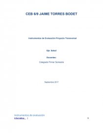 Instrumentos de Evaluación Proyecto Transversal. Página 1