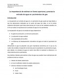La importancia de estimar en forma oportuna y precisa la entrada de agua en yacimientos de gas