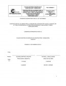 Plan de gestión integral de residuos de construcción y demolición modelo.