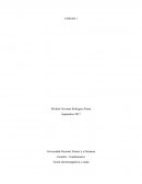 Teoria de ondas electromagenticas