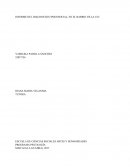 INFORME DEL DIAGNOSTICO PSICOSOCIAL, EN EL BARRIO VILLA UCI