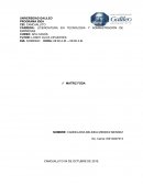 PROGRAMA IDEA MATRIZ FODA