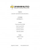 ANALISIS Y DIAGNOSTICO ORGANIZACIONAL