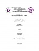 Un gran Corte - Estructura de Acero