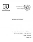 Fuentes del Derecho Agrario