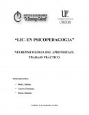 NEUROPSICOLOGIA DEL APRENDIZAJE: TRABAJO PRÁCTICO.