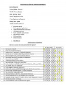 IDENTIFICACIÓN DE OPORTUNIDADES TRABAJO