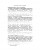 El ordenamiento ecológico del territorio