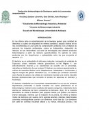 Producción biotecnológica de Dextrano a partir de Leuconostoc mesenteroides