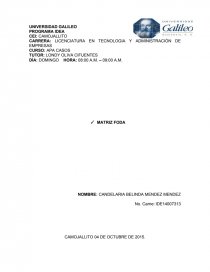 PROGRAMA IDEA MATRIZ FODA. Página 1