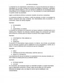 LOS TIPOS DE EMPRESA ENSAYO DE LENGUAJE