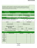 Ejemplo de Ficha de datos