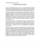 El capital humano es la PYME