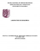 DETERMINACIÓN DEL AMINOÁCIDOS TERMINALES CON GRUPO ALFA AMINO LIBRE (MÉTODO DE SANGER)