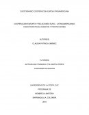 CUESTIONARIO COOPERACION EUROLATINOAMERICANA