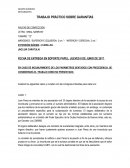 TRABAJO SOBRE GARANTIAS CONSTITUCIONALES