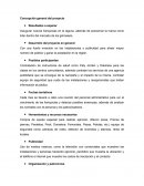 Concepción general de proyectos a futuro