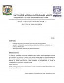 DEPARTAMENTO DE CIENCIAS QUÍMICAS SECCIÓN DE FISICOQUÍMICA