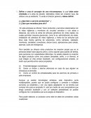 Microempresas actividad