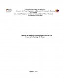 Creación De Una Micro-Empresa Productora De Vino Artesanal De Mucilago De Cacao