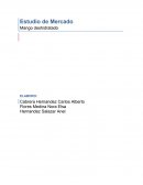 Estudio de Mercado Mango deshidratado