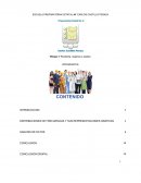 Recolecta, organiza y analiza