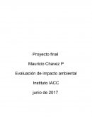 Proyecto final impacto ambiental