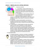 UNIDAD 1: EMBRIOLOGIA DEL SISTEMA NERVIOSO