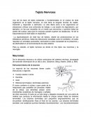Resumen de células y tejido nervioso