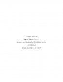 FORMULACIÓN Y EVALUACIÓN DE PROYECTOS La consultora “El Consultor”