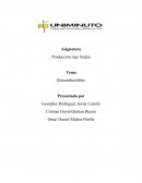 Biocombustibles, MARCO TEÓRICO