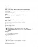 Entrevista de postres