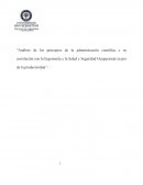 Análisis de los principios de la administración científica y su correlación con la Ergonomía y la Salud y Seguridad Ocupacional en pro de la productividad